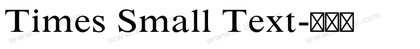 Times Small Text字体转换